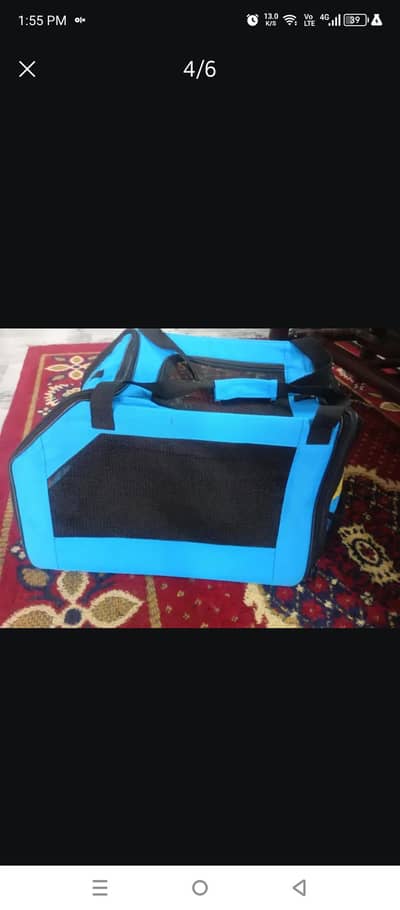 travel bag for cats and puppies