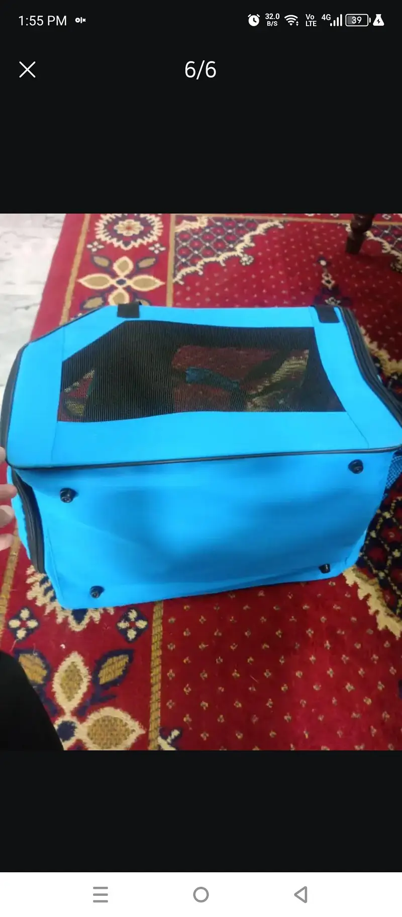 travel bag for cats and puppies — photo 2