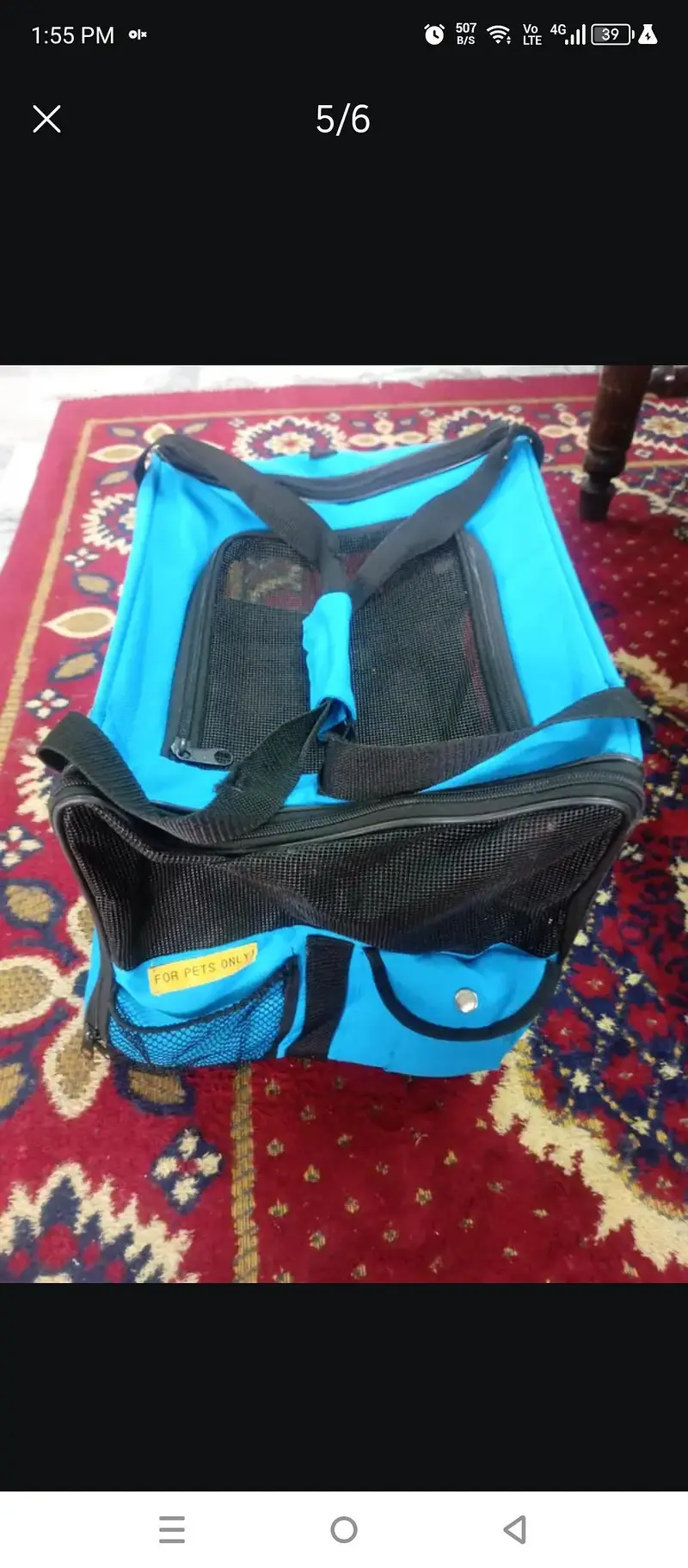 travel bag for cats and puppies — photo 3