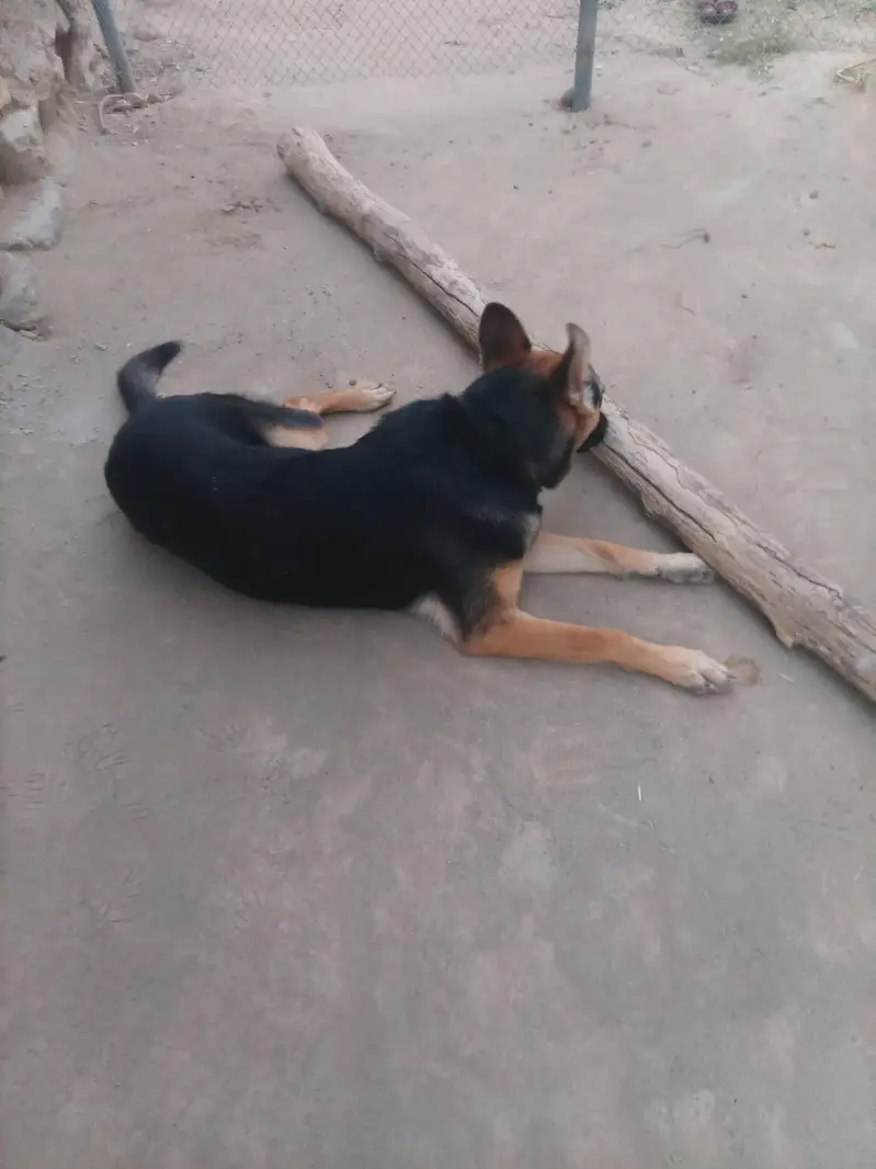 female — photo 2