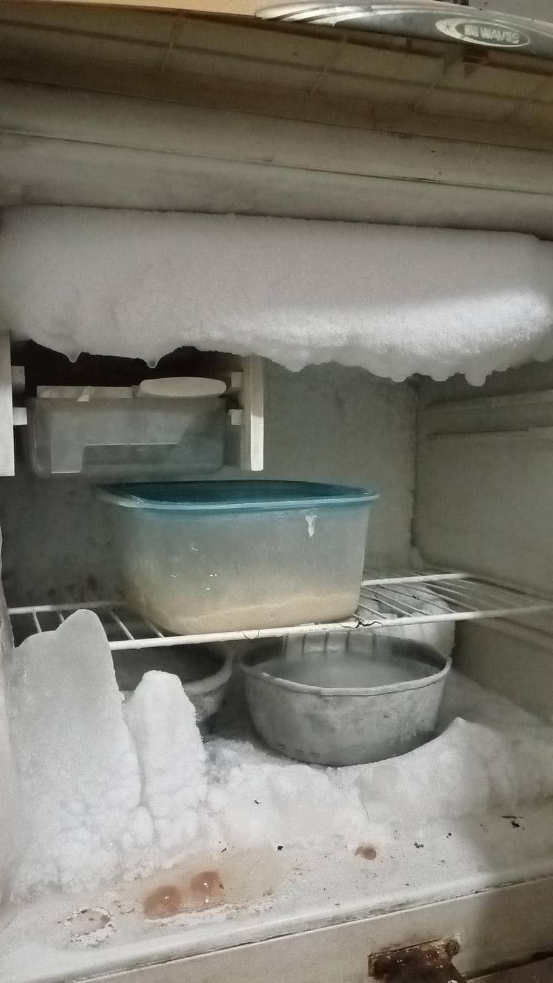 full size working fridge 4