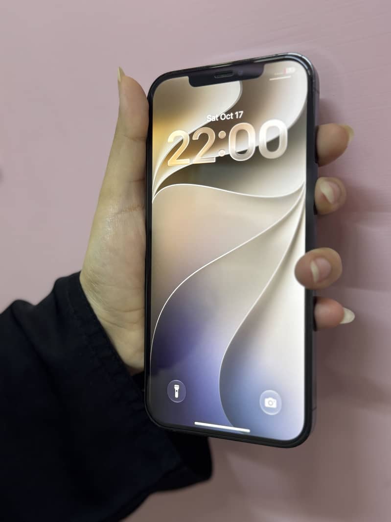 Apple iPhone 12 Pro Max 2