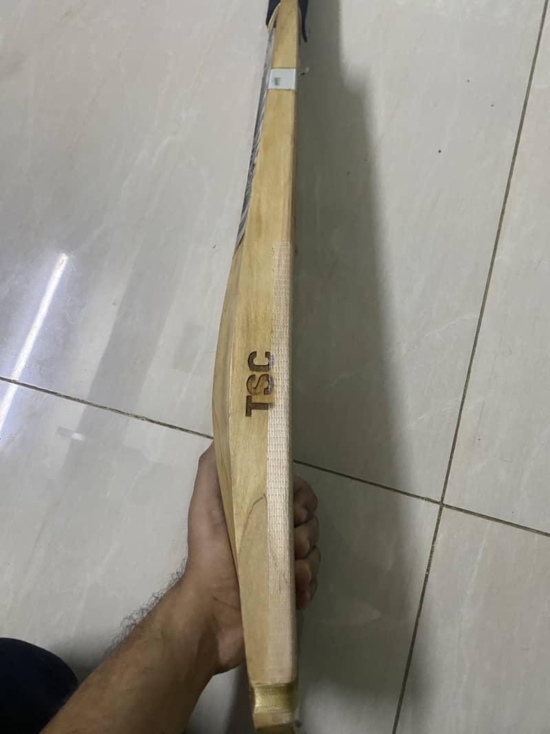Tornado sports Python 6