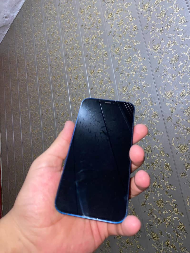 Apple iPhone 12 1
