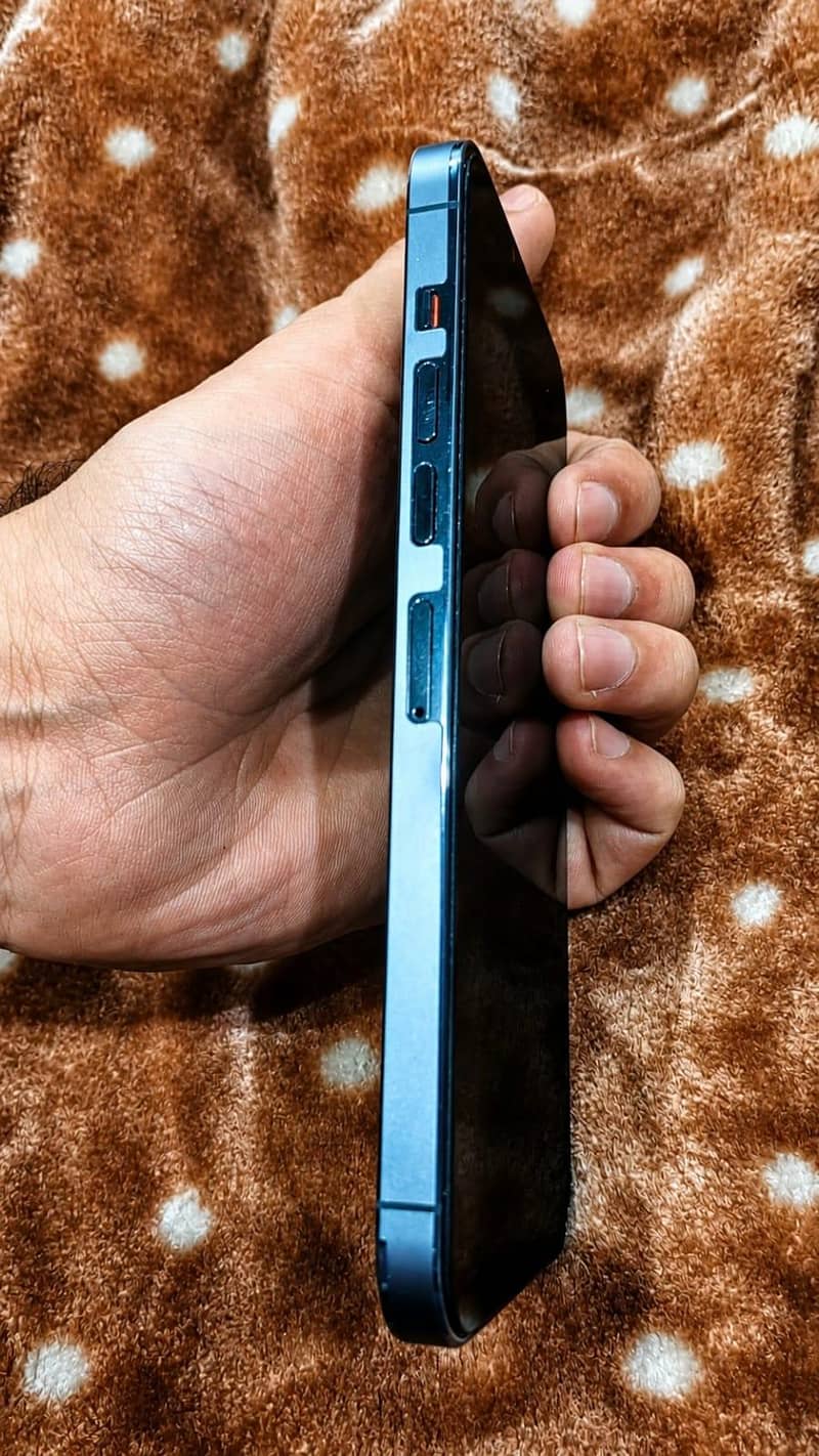 Apple iPhone 13 Pro Max 2