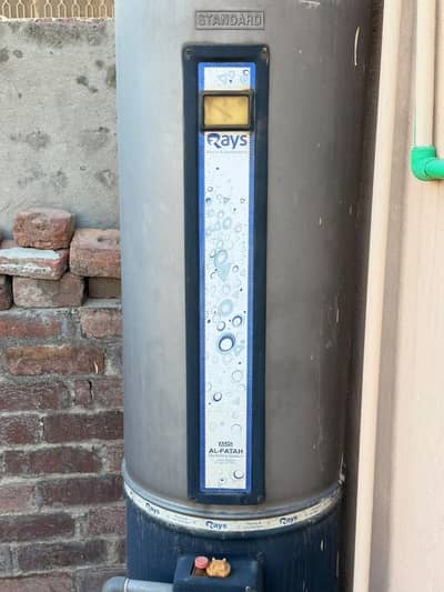 Rays Standard Geyser
