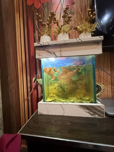 Aquarium and fish
