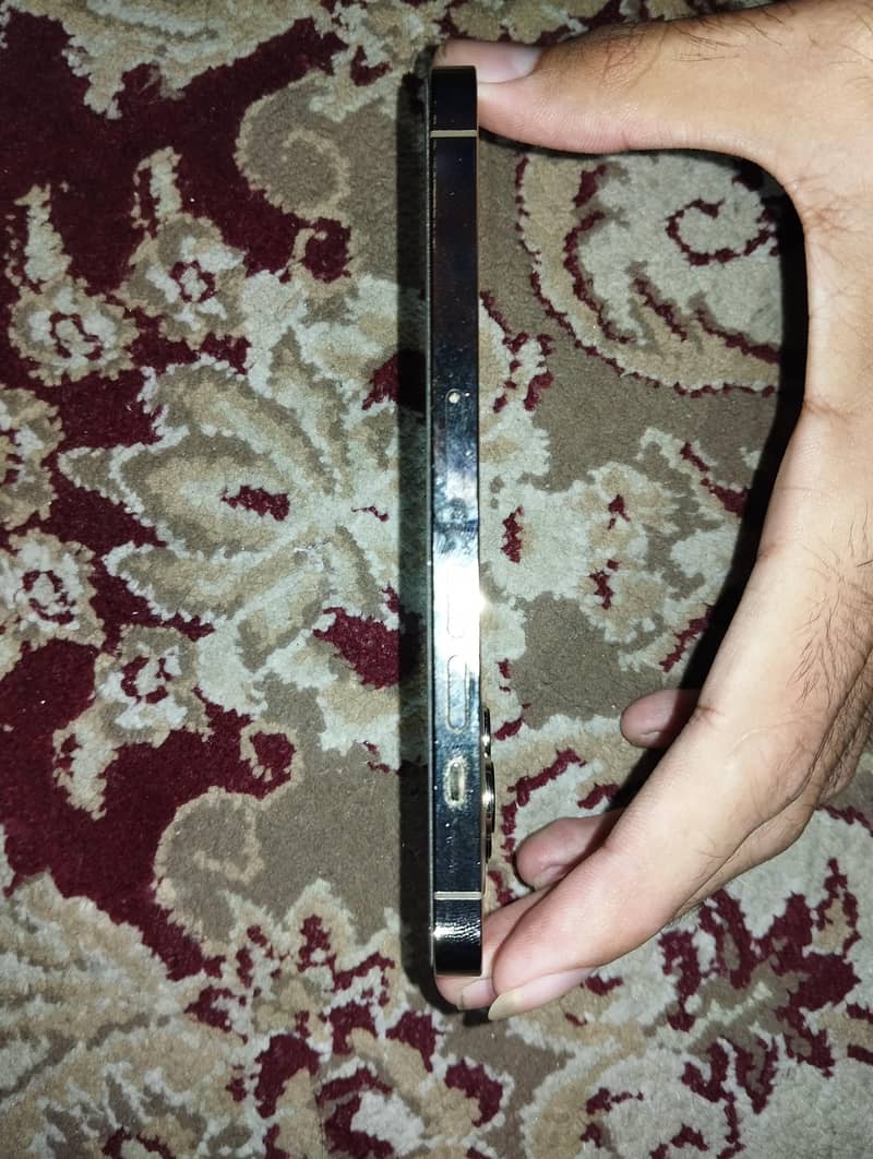 Apple iPhone 13 Pro 1