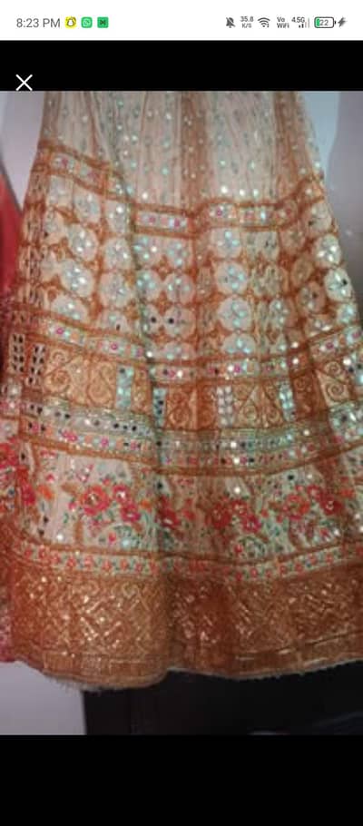 Heavy Mirror Work & Floral Embroidered lehenga