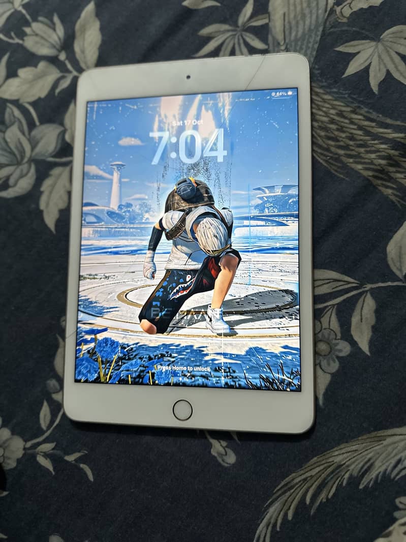 Ipad mini 5 0