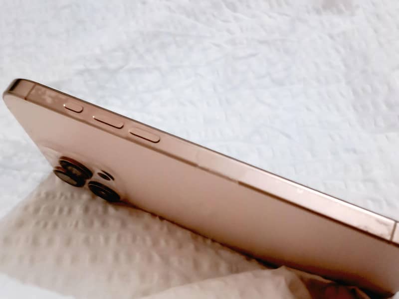 Apple iPhone 16 Pro Max 3