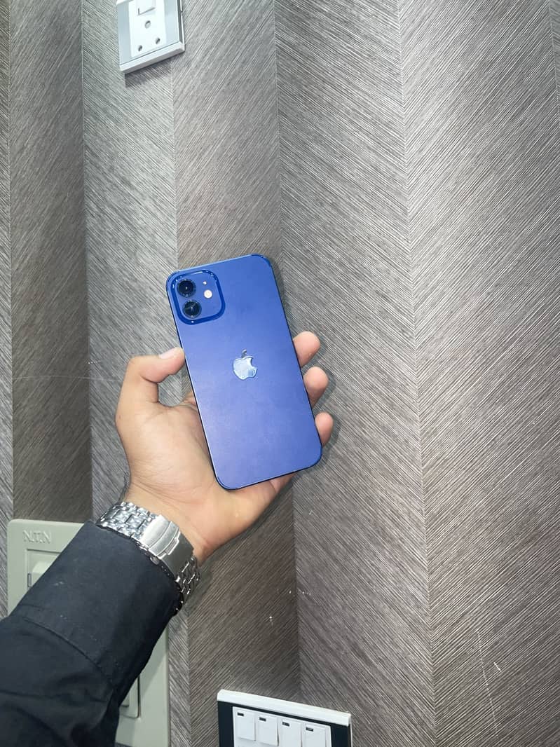 iPhone 12 0