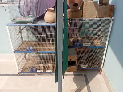 lovebirds cage