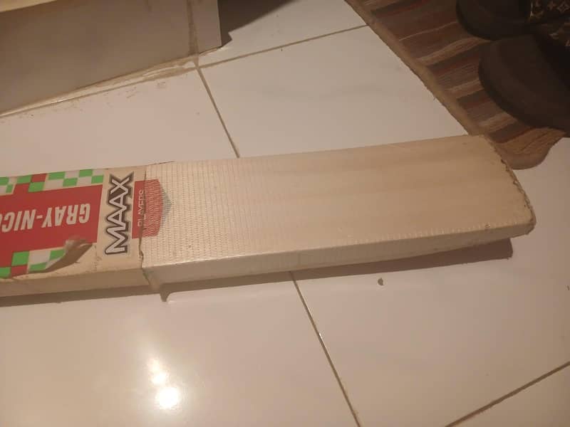 Cricket Bat 2