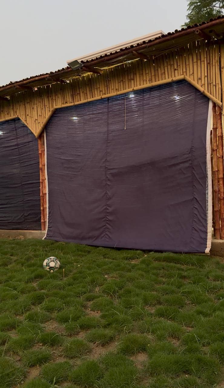 bambo chik blinds 2
