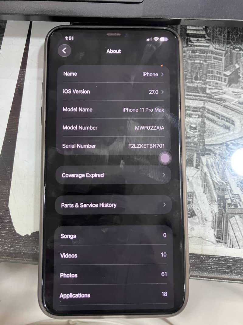 Apple iPhone 11 Pro Max sim glitch 2