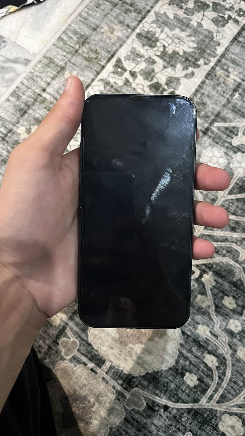 Apple iPhone 13 0