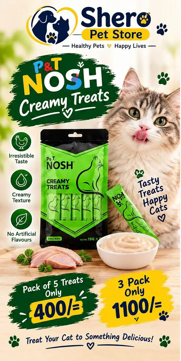Cat food, Treats, Jelly and food tin — photo 6