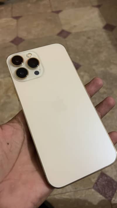 Apple iPhone 13 Pro Max
