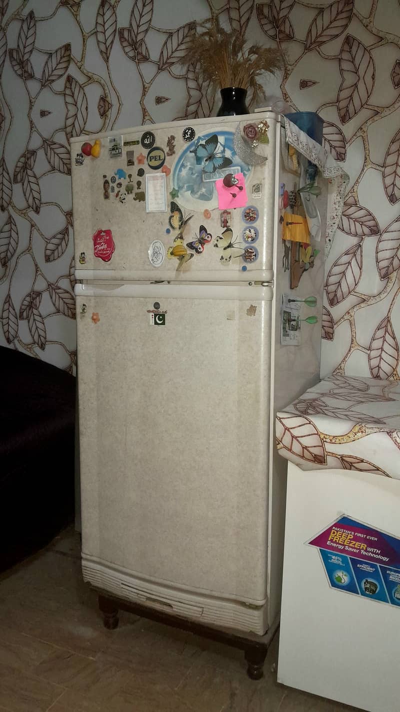 PEL fridge 1