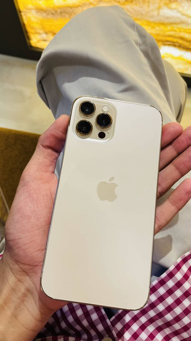 Apple iPhone 12 Pro Max 1
