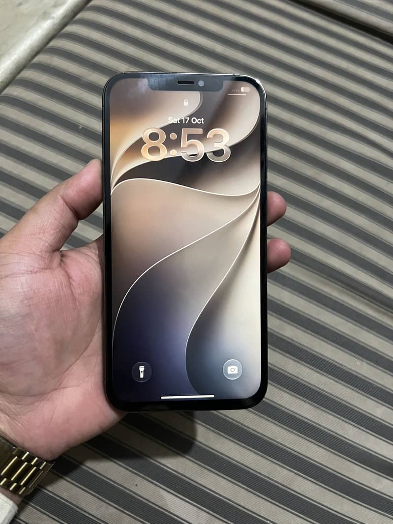 iPhone 12 Pro Max 1