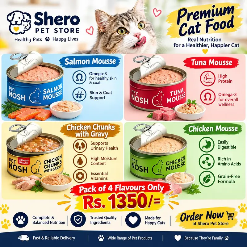 Cat food, Treats, Jelly, Tin — photo 7