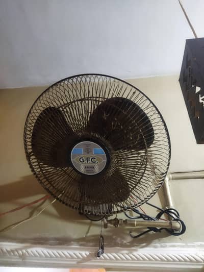 Royal Bracket fan