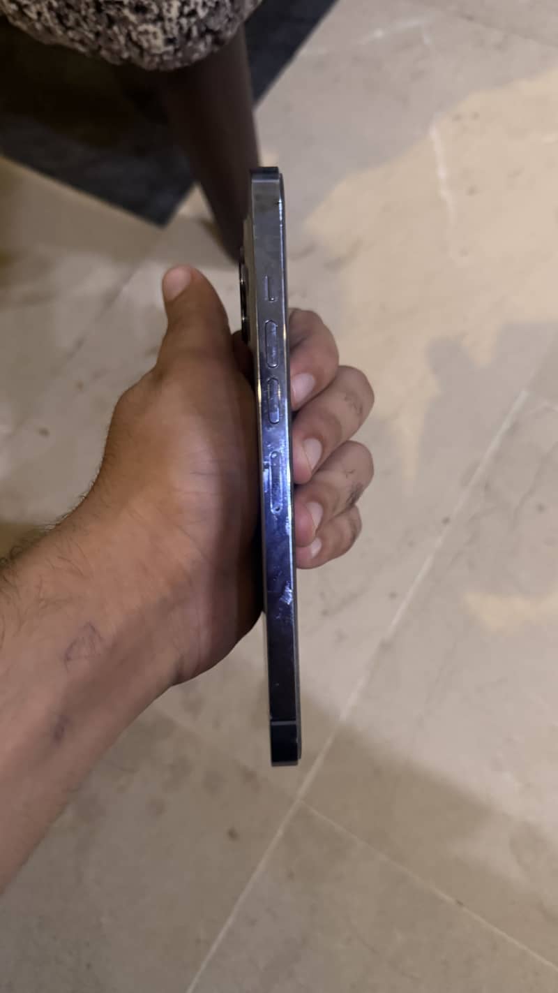 Apple iPhone 13 Pro Max 1