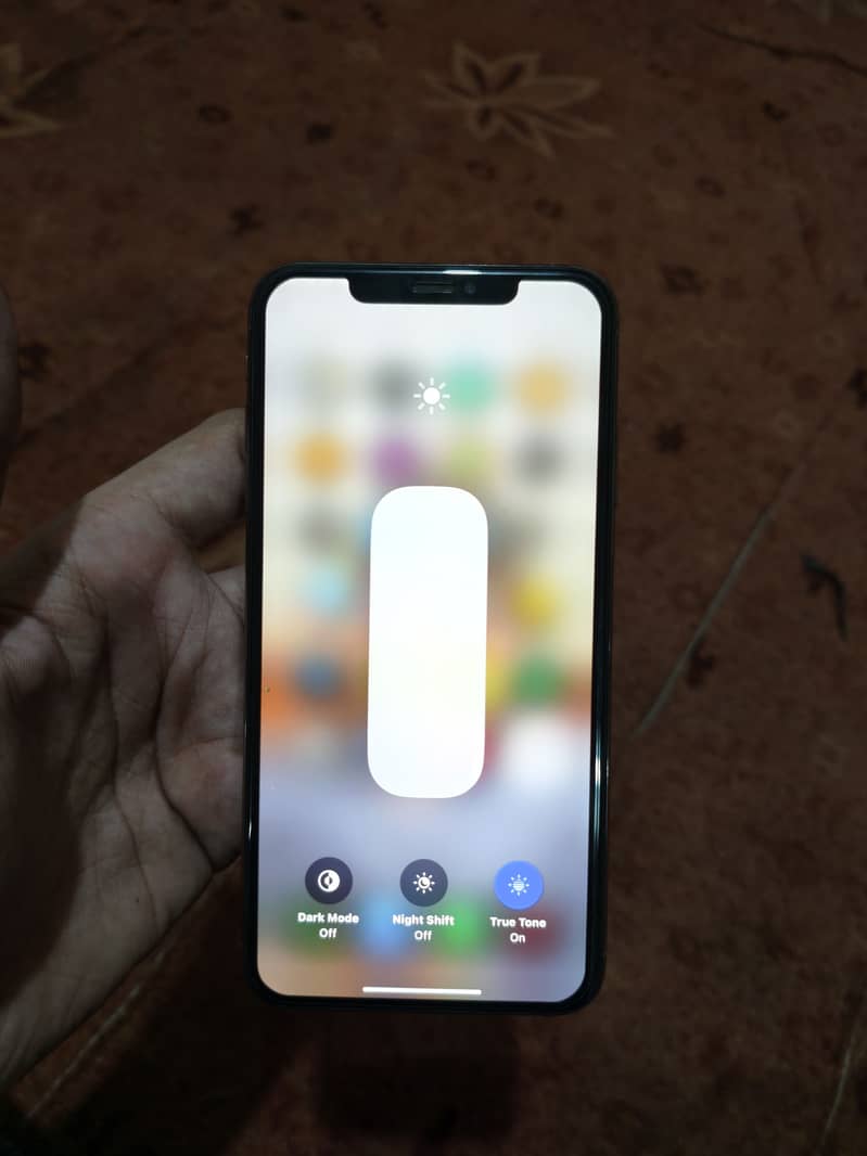 Apple iPhone XS Max 9