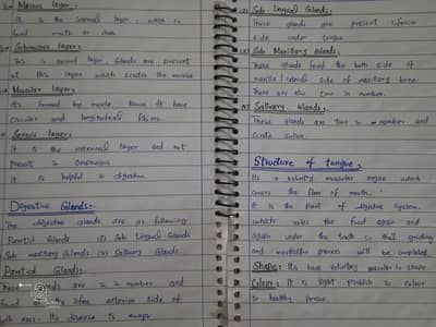 Assignment Typing & MS Word Formatting Service