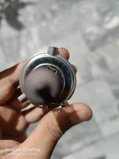 halogen Bulbs