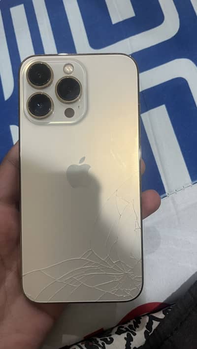 Apple iPhone 13 Pro