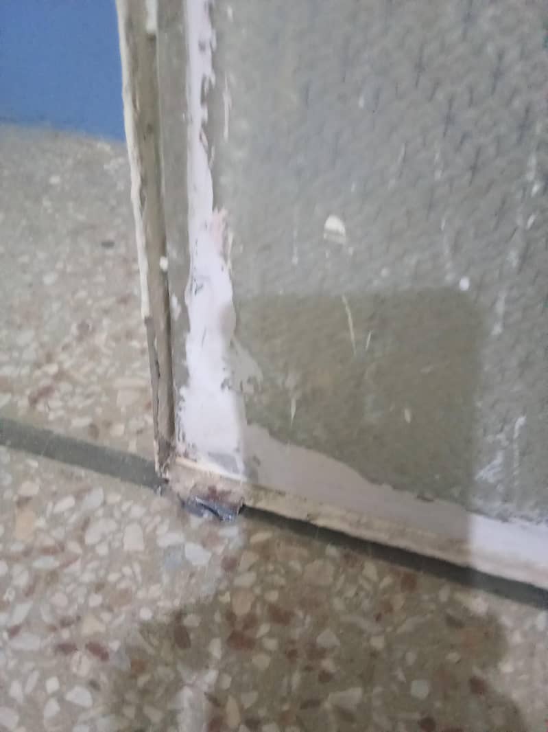 window 5
