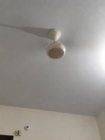 ac DC fan for sale 5 year warranty hai