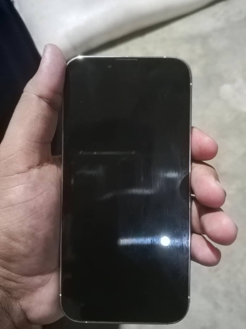 Apple iPhone 13 Pro 1