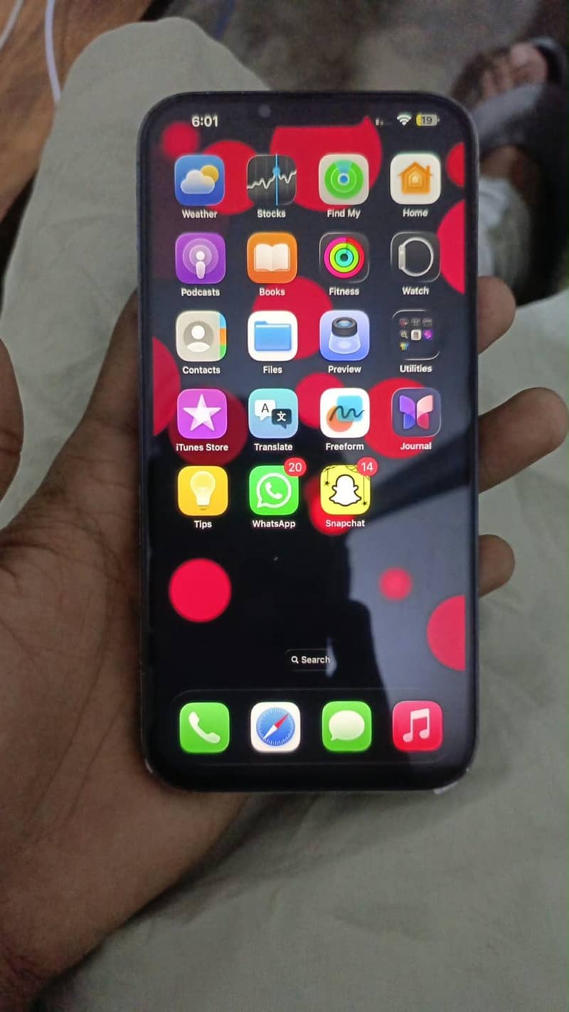 Apple iPhone 13 Pro Max 2