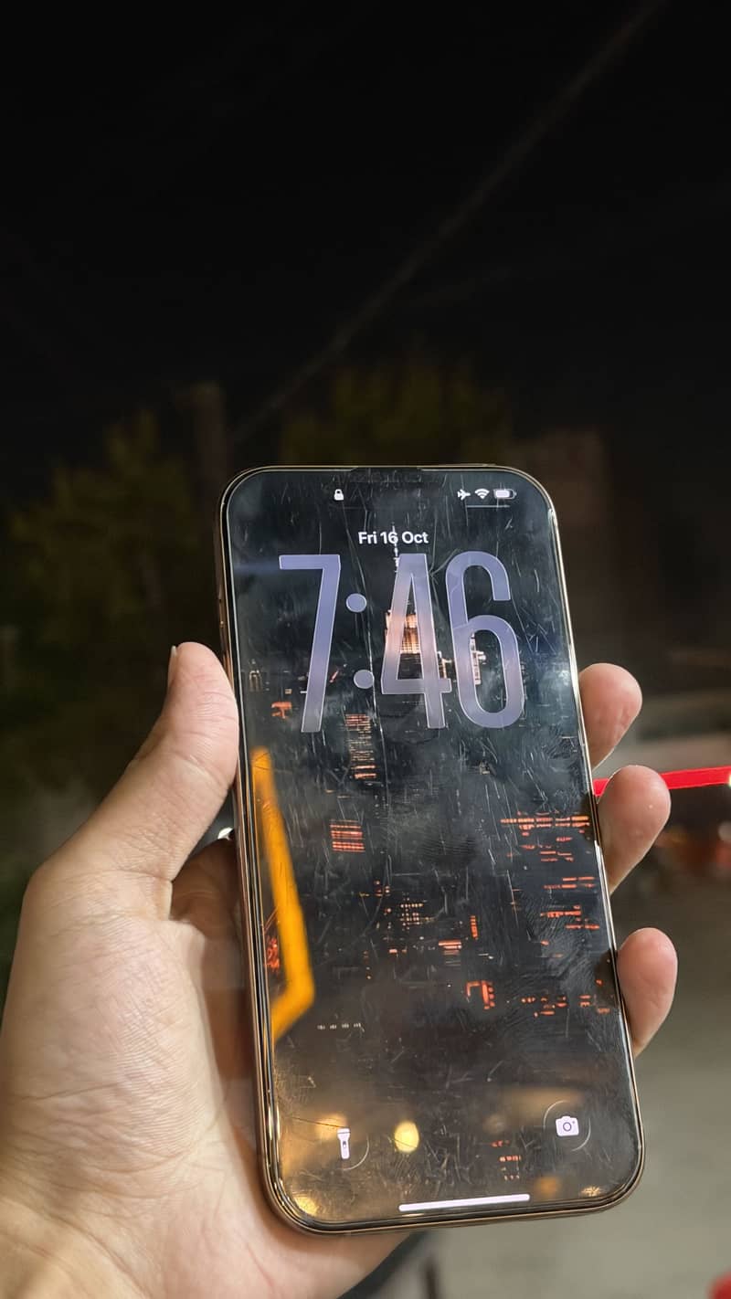 Apple iPhone 16 Pro Max 1