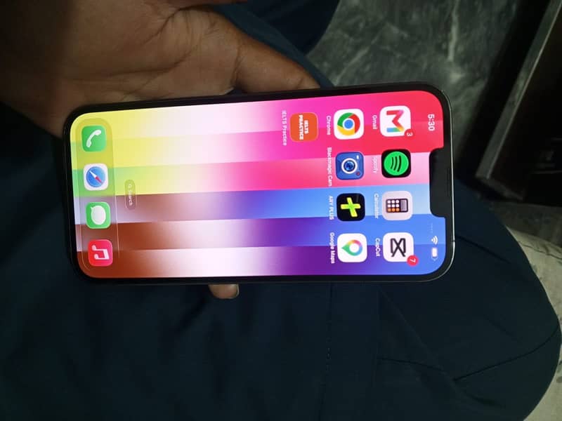 Apple iPhone 13 Pro Max 6