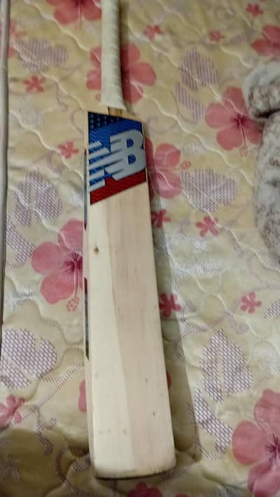 sports hard ball bat