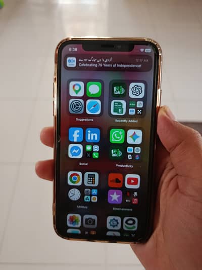 Apple iPhone X