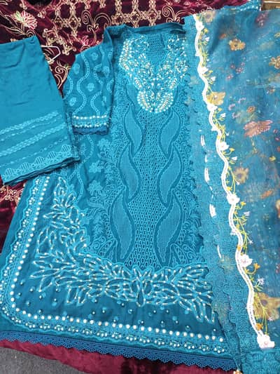 beautiful heveay embroidery suit