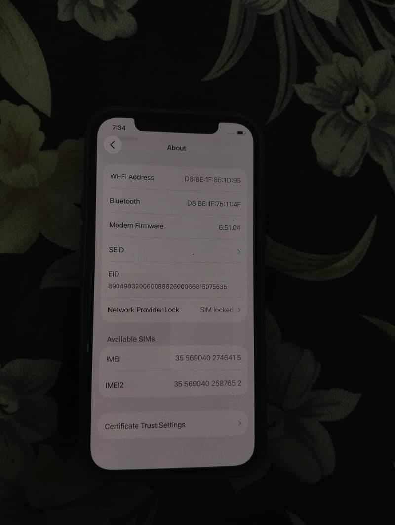 Apple iPhone 12 1