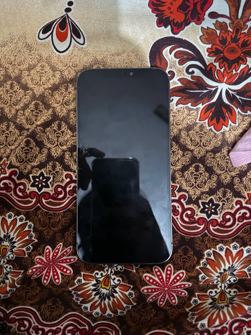 Apple iPhone 12 Pro Max 2