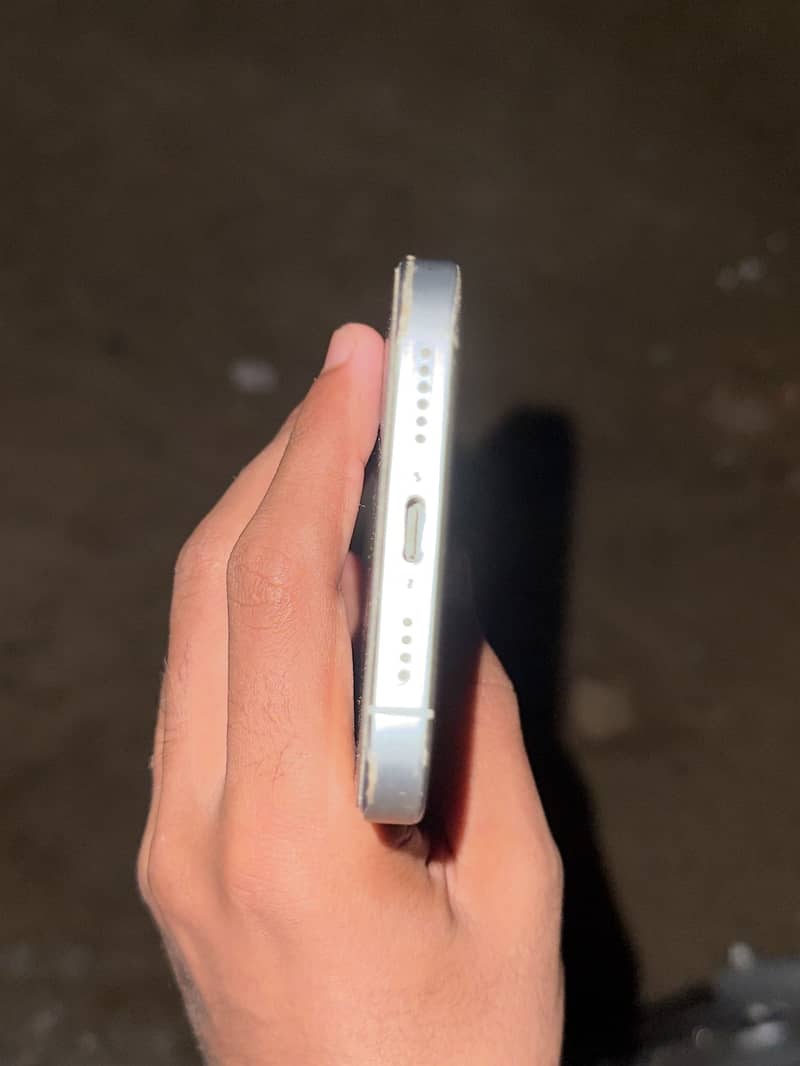 Apple iPhone 16 Pro Max 1