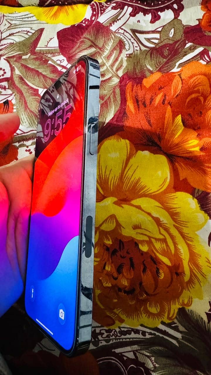 Apple iPhone 13 Pro Max 1