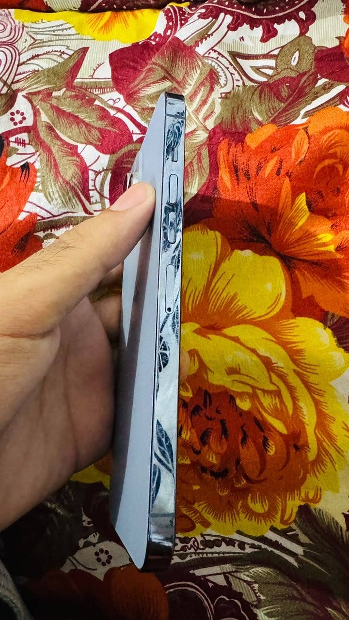 Apple iPhone 13 Pro Max 2