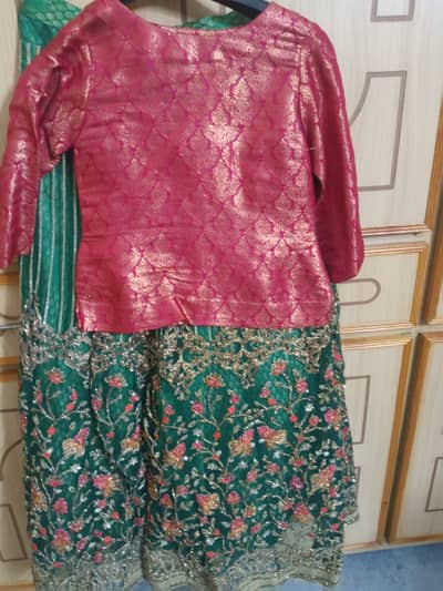 Small size fully embroided lenga