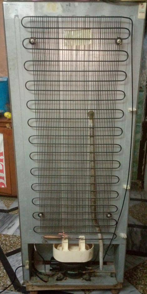 Refrigerator Medium size 2