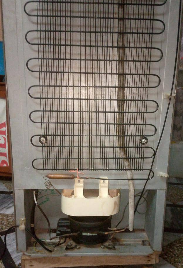 Refrigerator Medium size 3